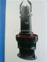 天津轴流（混流）式潜水泵